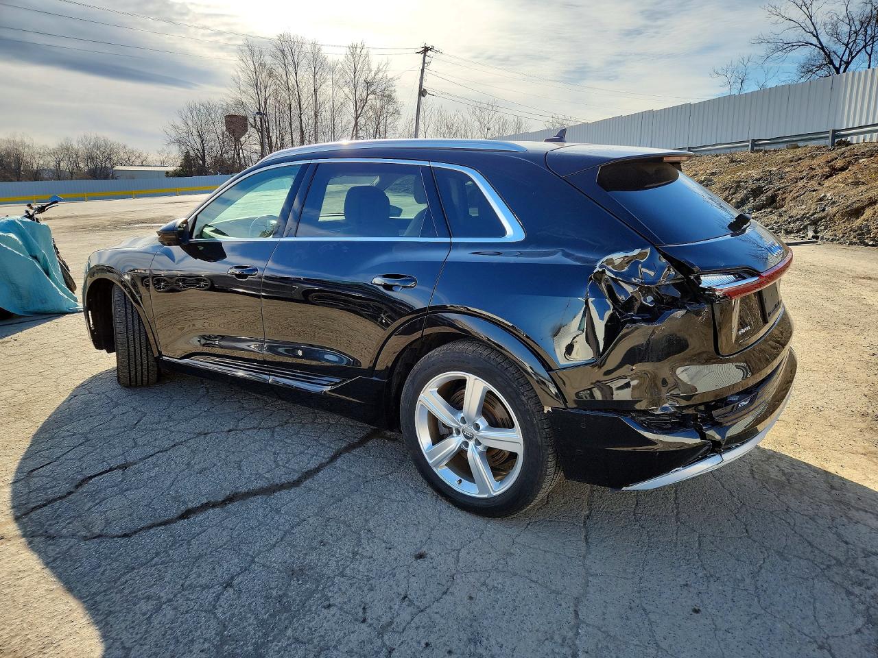 2019 AUDI E-TRON