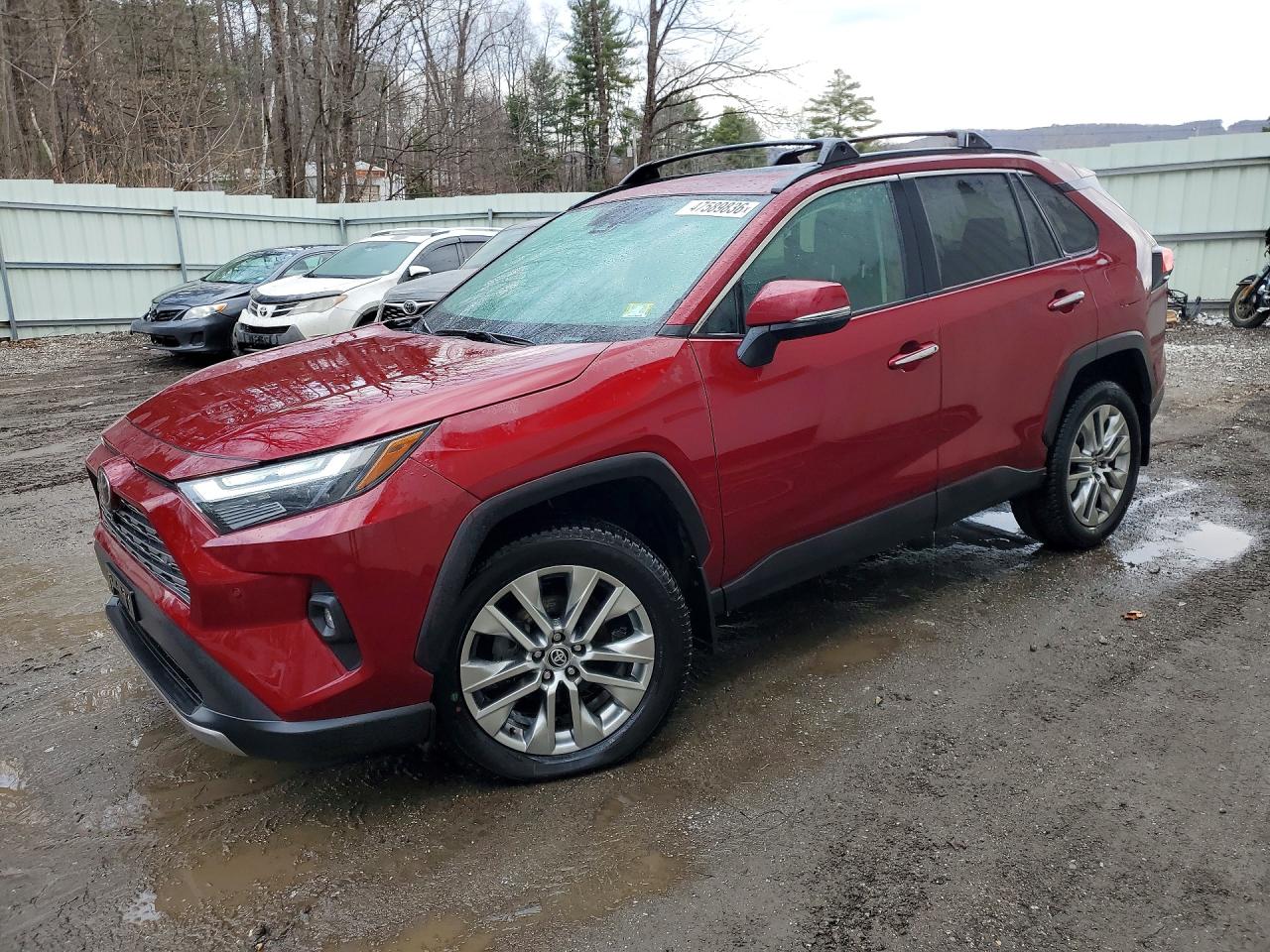 2024 TOYOTA RAV4