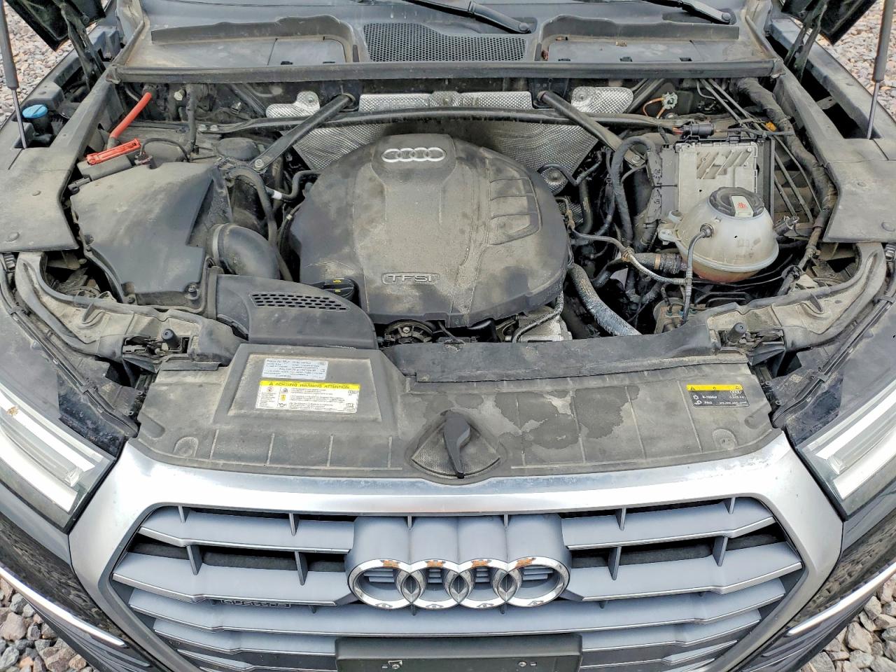 2019 AUDI Q5