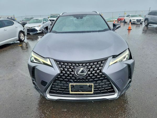 2019 LEXUS UX 200 200 Base/Luxury/F Sport