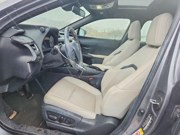2019 LEXUS UX 200 200 Base/Luxury/F Sport