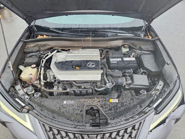 2019 LEXUS UX 200 200 Base/Luxury/F Sport
