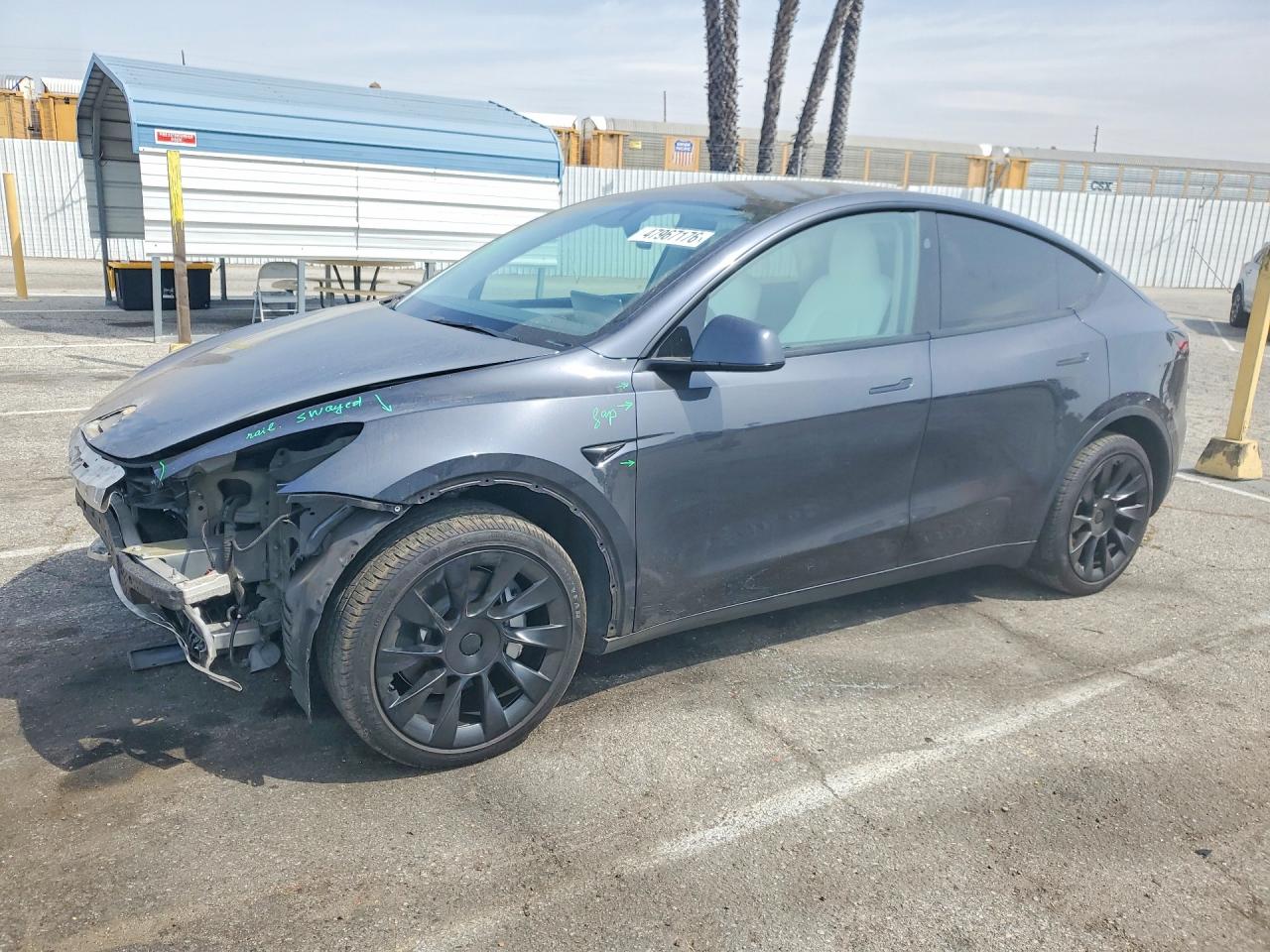2024 TESLA MODEL Y