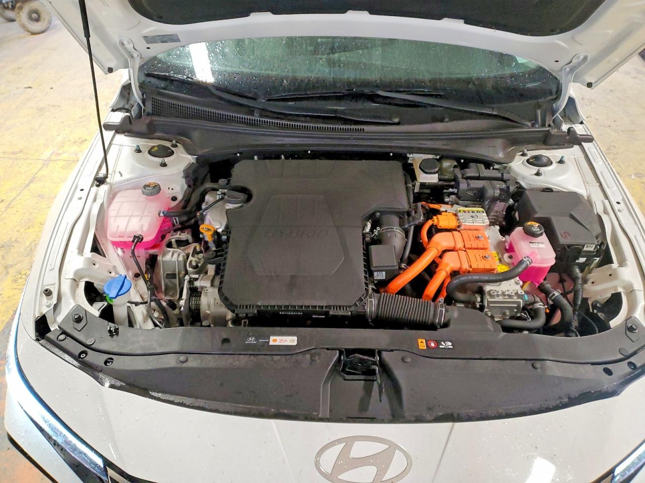 2025 HYUNDAI ELANTRA HYBRID Limited