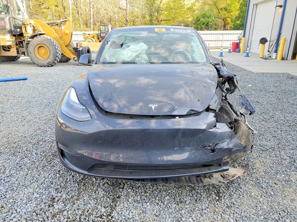 2025 TESLA MODEL Y — DIRF