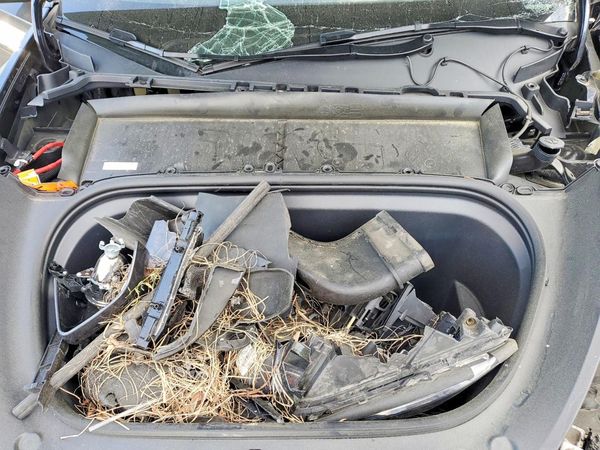 2025 TESLA MODEL Y — Engine bay