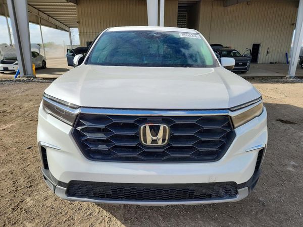 2025 HONDA PILOT EX-L, EX-L HPD