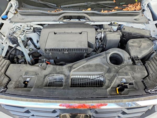 2025 HONDA PILOT EX-L, EX-L HPD