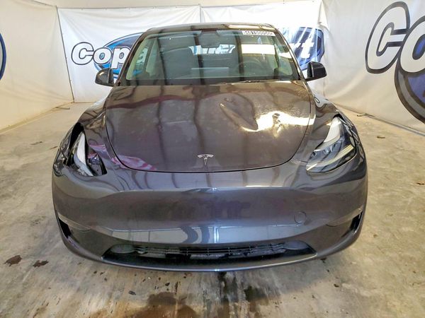 2025 TESLA MODEL Y