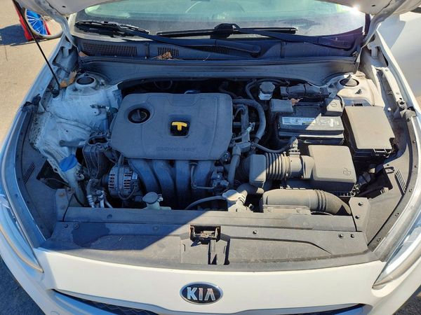 2019 KIA FORTE FE/LX/LXS