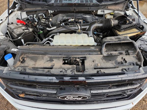 2024 FORD F150