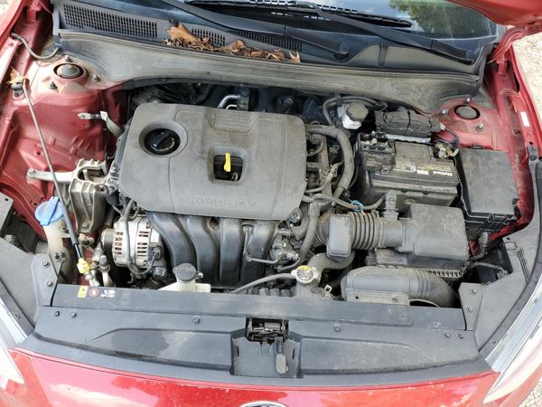 2019 KIA FORTE