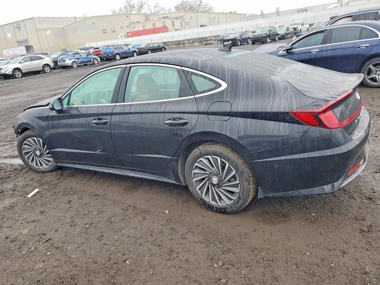 2023 HYUNDAI SONATA HYBRID Limited
