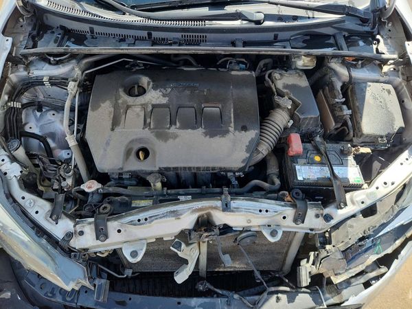 2019 TOYOTA COROLLA
