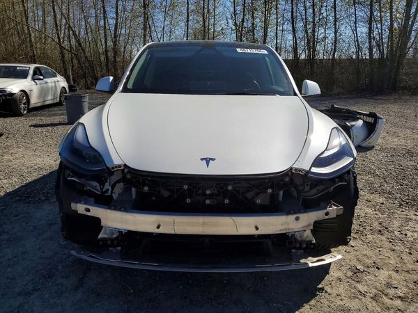 2024 TESLA MODEL Y — DIRF