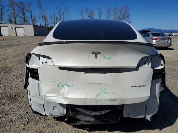 2024 TESLA MODEL Y — DIRR