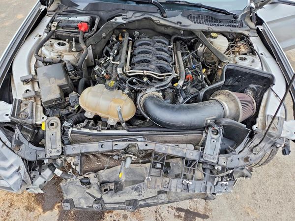 2019 FORD MUSTANG GT Coupe