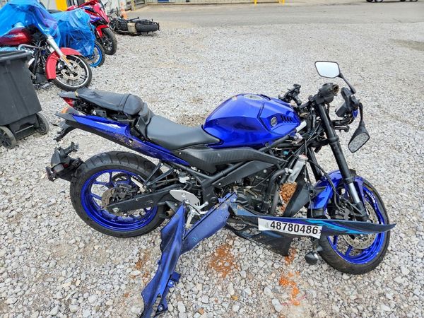 2024 YAMAHA YZF600