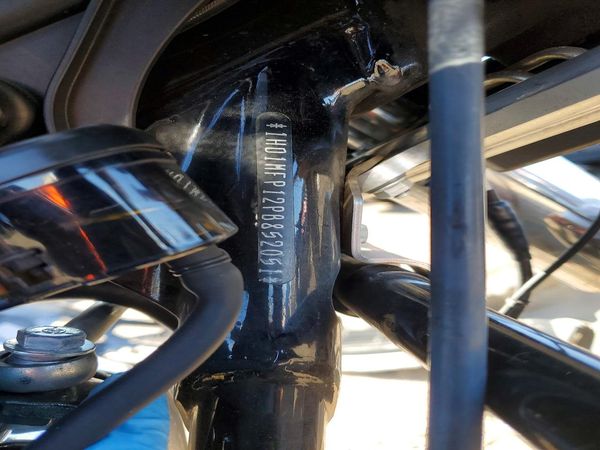 2023 HARLEY-DAVIDSON ALL OTHER — VINP