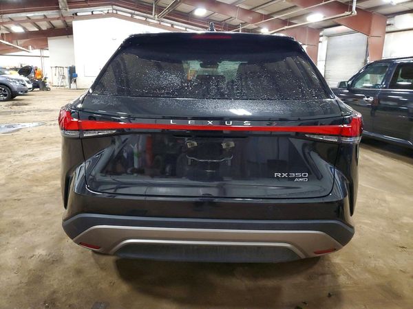 2025 LEXUS RX 350 — DIRR