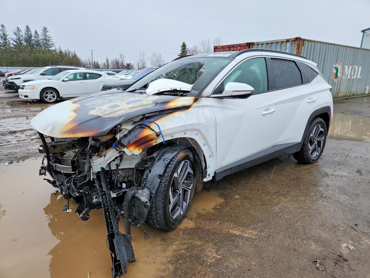 2024 HYUNDAI TUCSON ULTIMATE PHEV 4DR AWD