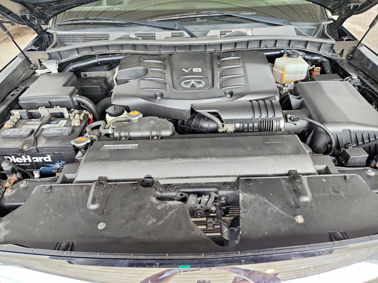 2019 INFINITI QX80