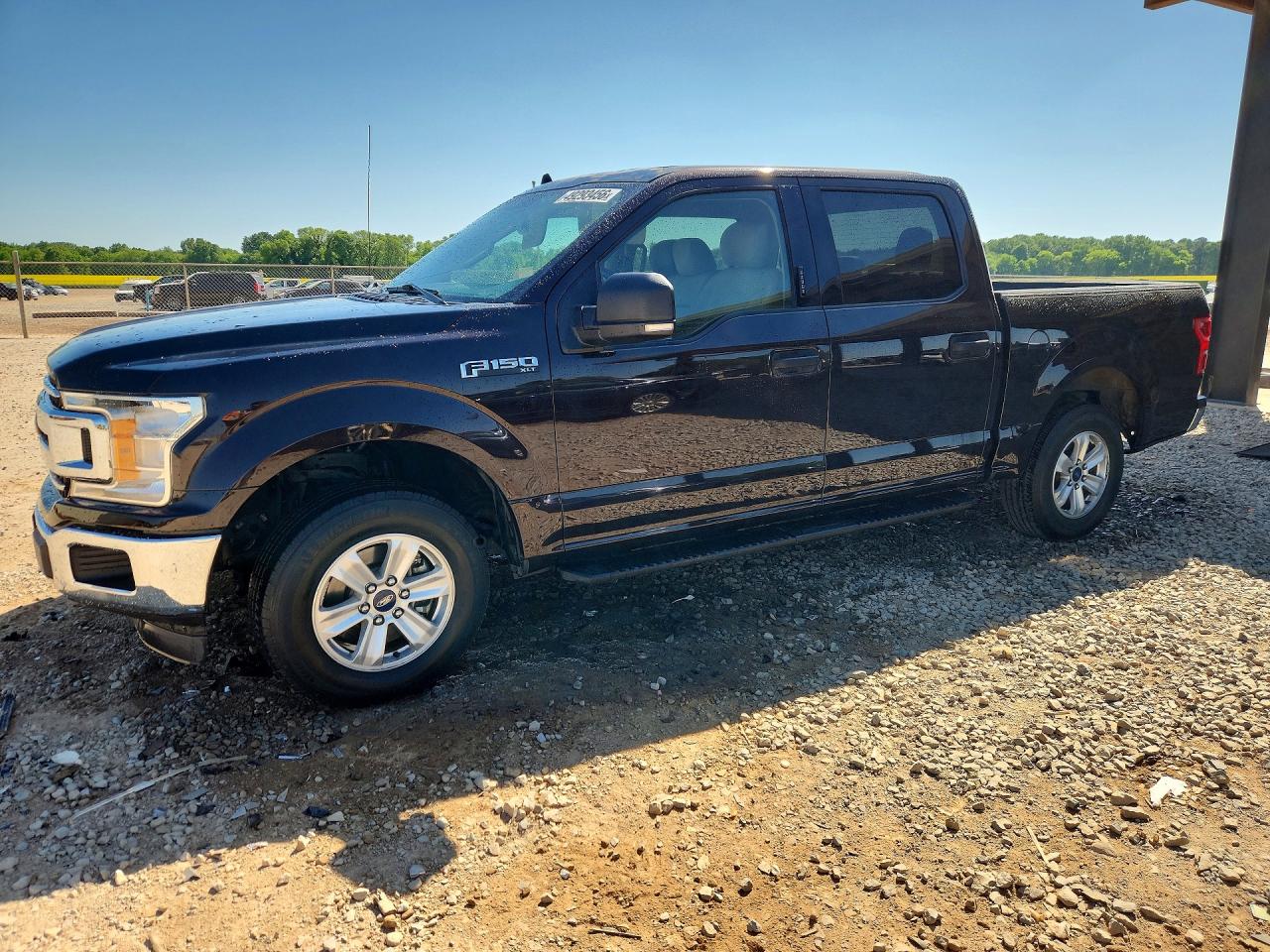 2019 FORD F150