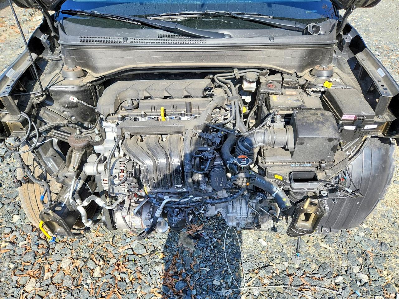 2025 HYUNDAI VENUE SEL, Limited