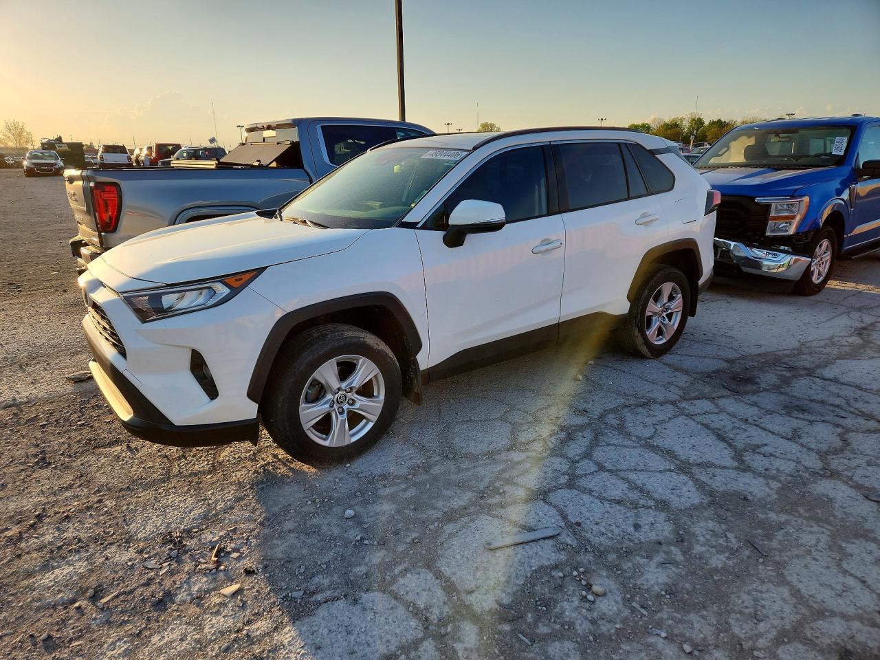 2019 TOYOTA RAV4 XLE / XLE Premium 4WD