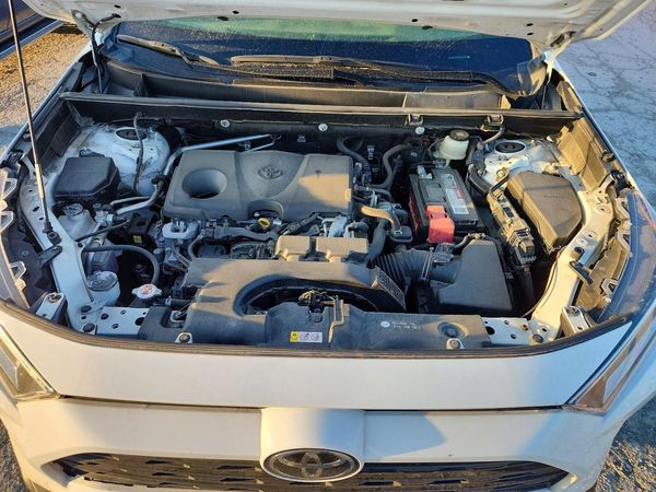 2019 TOYOTA RAV4 XLE / XLE Premium 4WD