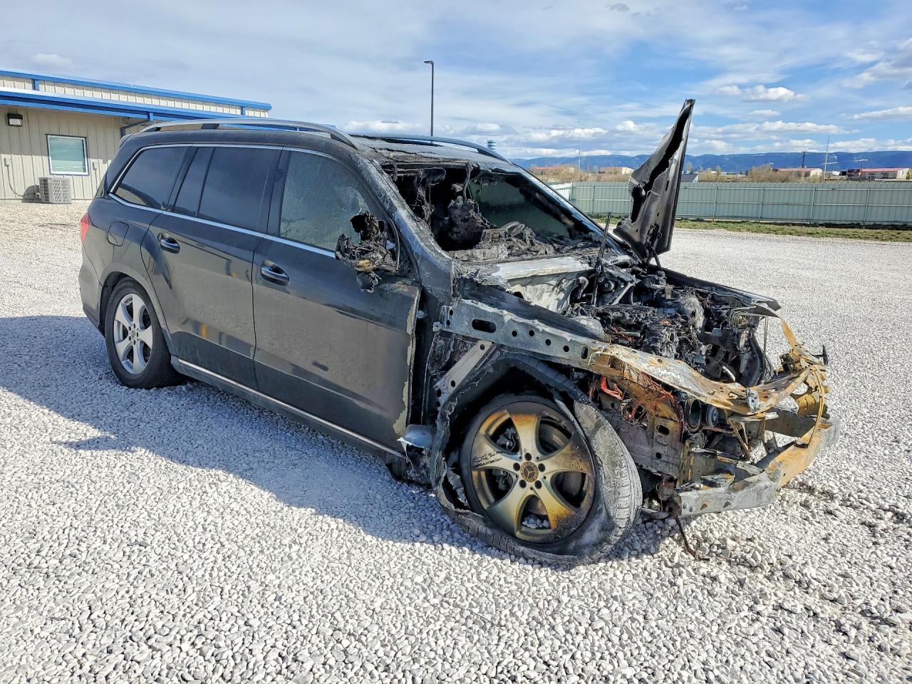 2019 MERCEDES-BENZ GLS GLS450-4M