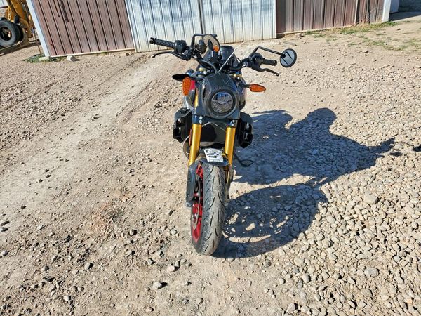 2024 INDIAN MOTORCYCLE CO. FTR R CARB — DIRF
