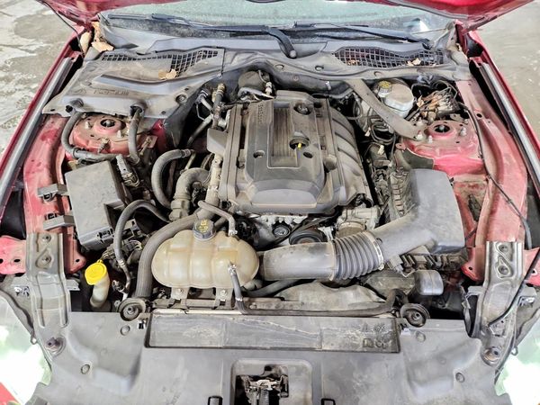 2018 FORD MUSTANG I4 Convertible