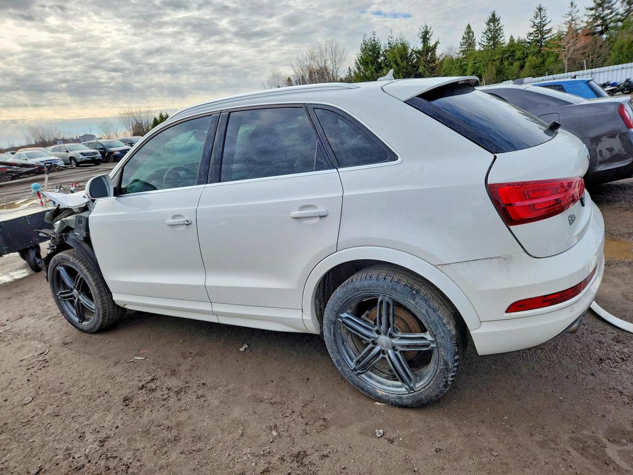 2017 AUDI Q3 quattro Premium Plus