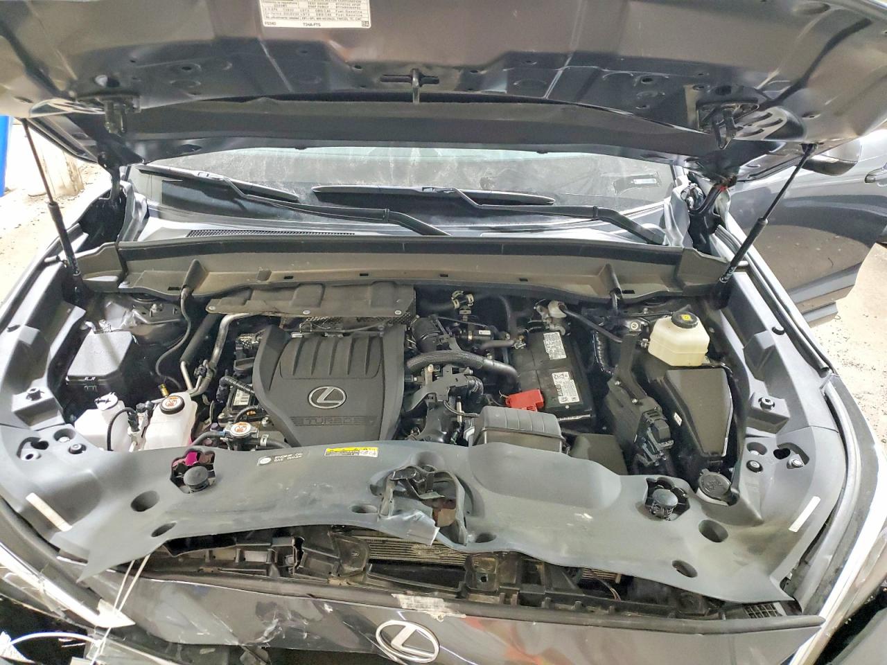 2024 LEXUS TX 350