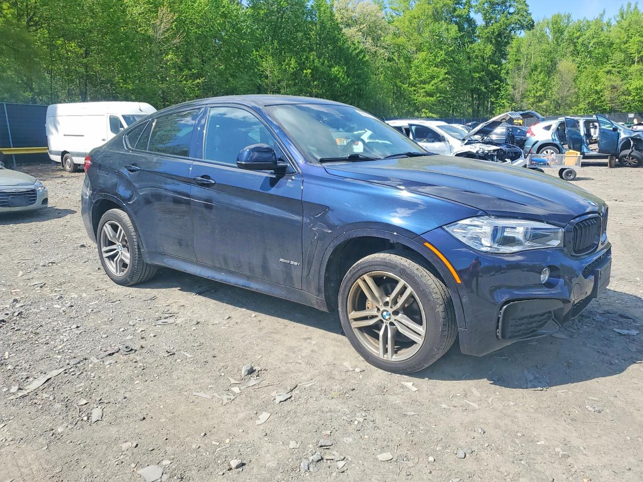 2019 BMW X6