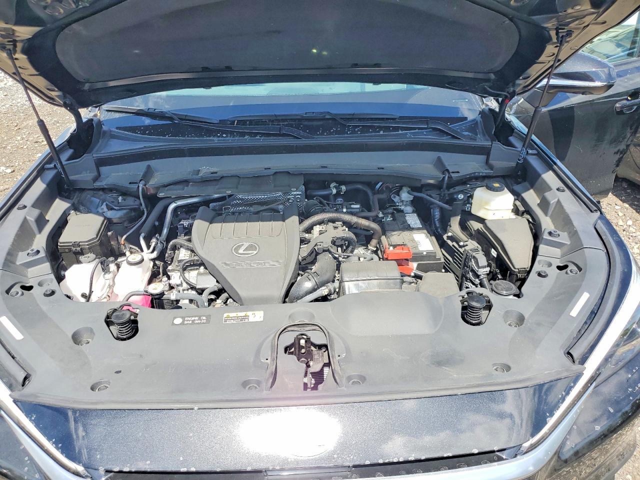 2024 LEXUS TX 350