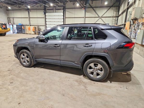 2025 TOYOTA RAV 4
