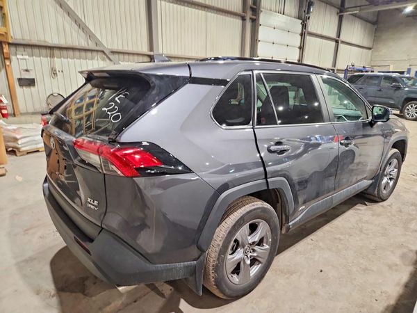2025 TOYOTA RAV 4