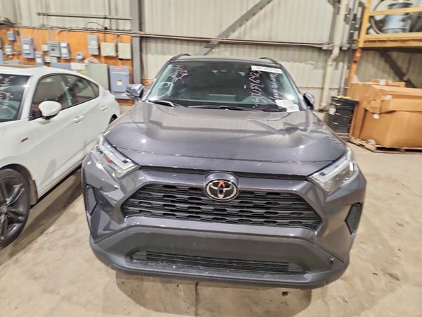 2025 TOYOTA RAV 4