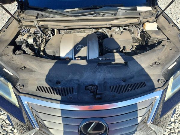 2019 LEXUS RX 350 350 Base/F Sport