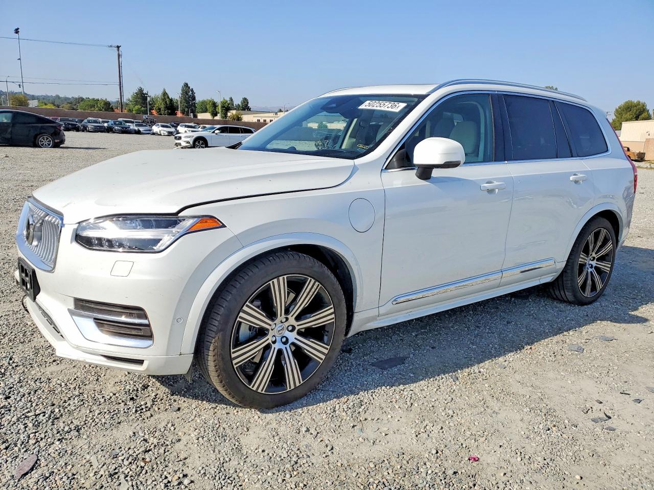 2025 VOLVO XC90 Ultra Bright