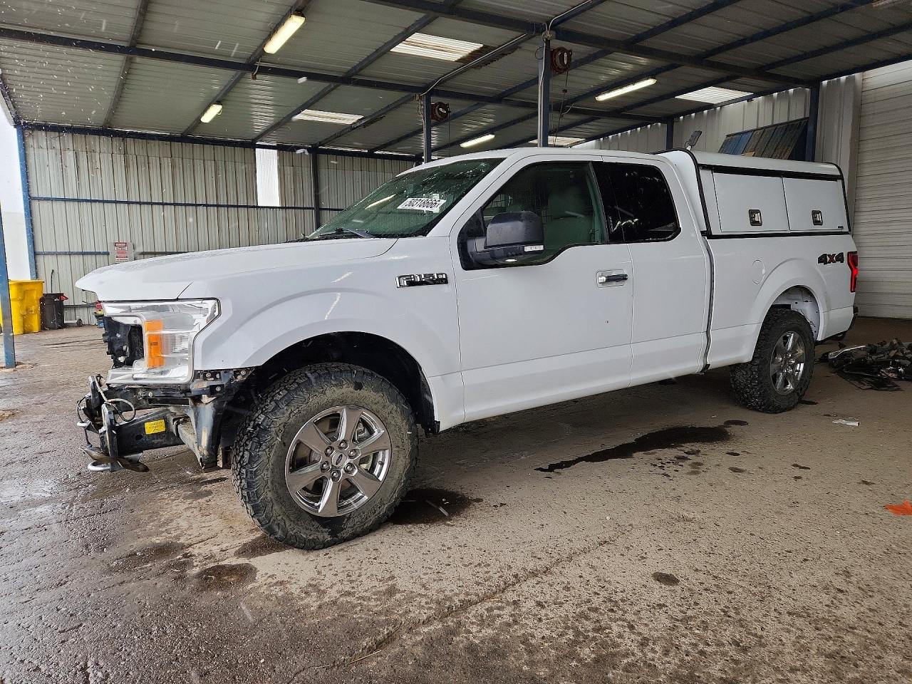 2019 FORD F150