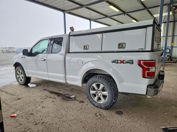 2019 FORD F150