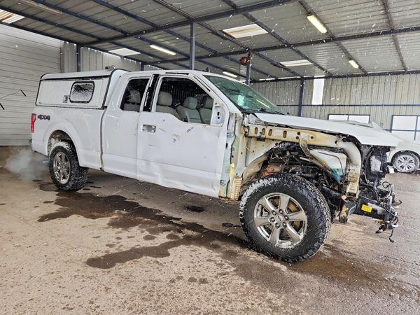 2019 FORD F150