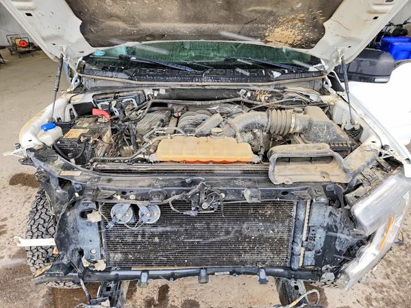2019 FORD F150