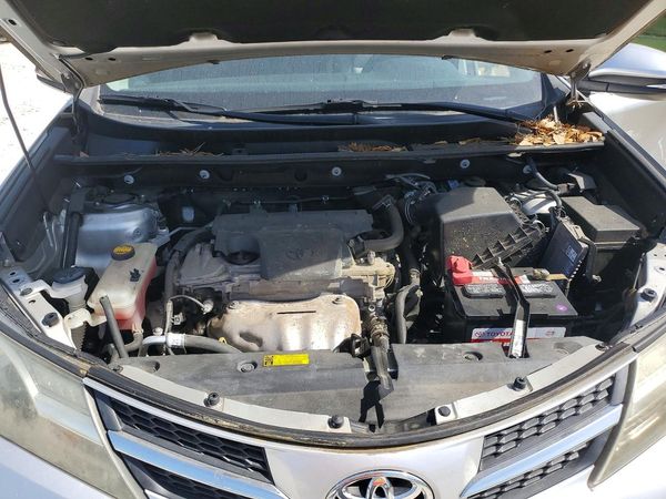 2015 TOYOTA RAV4 Limited (G Grade)