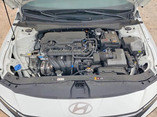2025 HYUNDAI ELANTRA