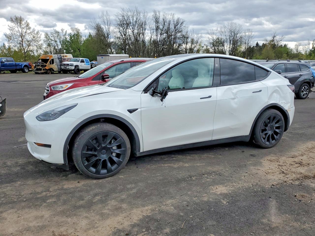 2025 TESLA MODEL Y