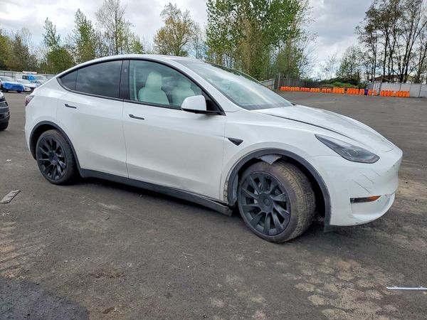 2025 TESLA MODEL Y